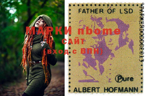 прущий лед Алзамай
