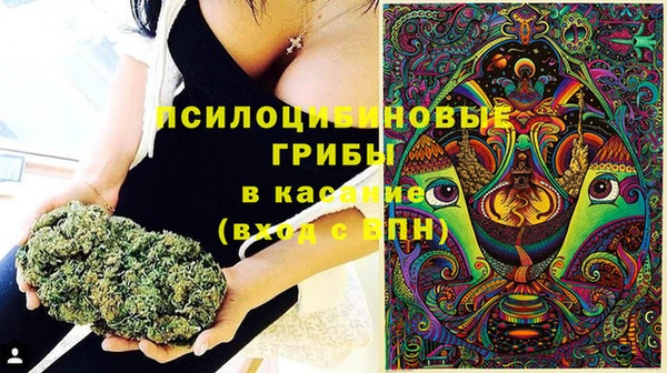 МДПВ Алексин