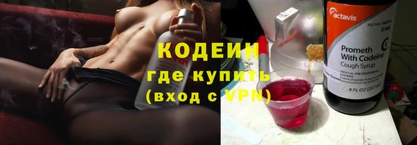 прущий лед Алзамай