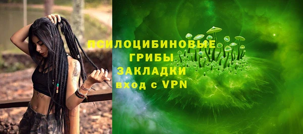 МДПВ Алексин